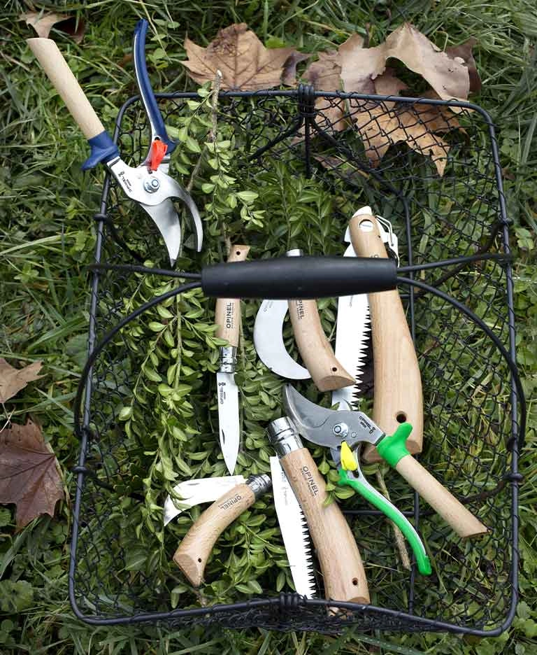 Comment entretenir son jardin au printemps ?