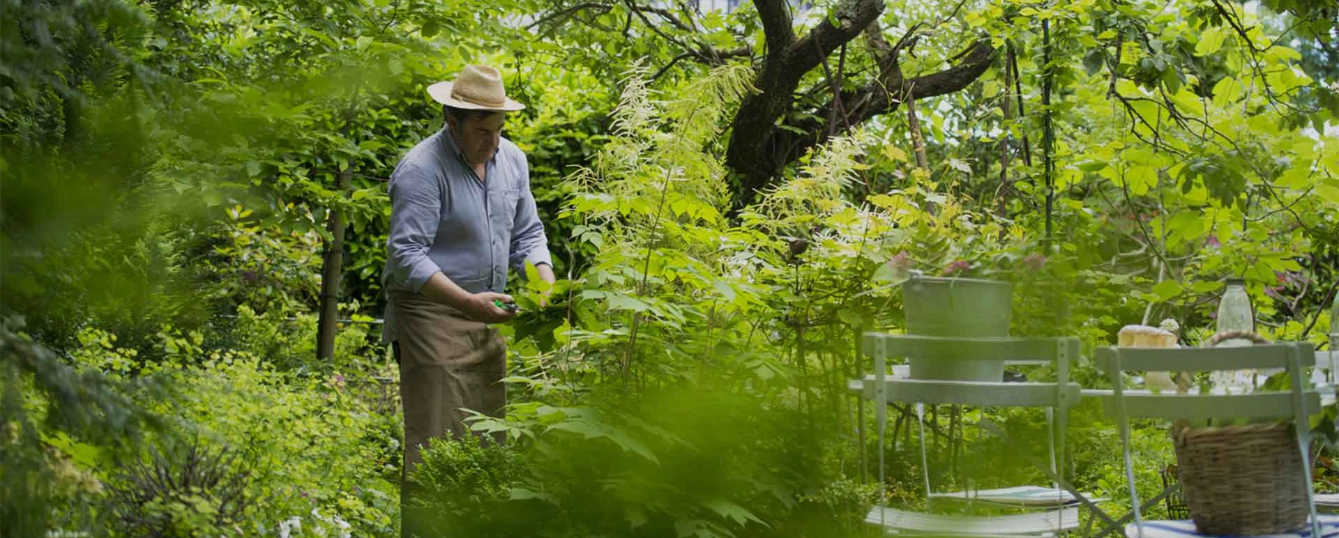 Mis herramientas de jardín