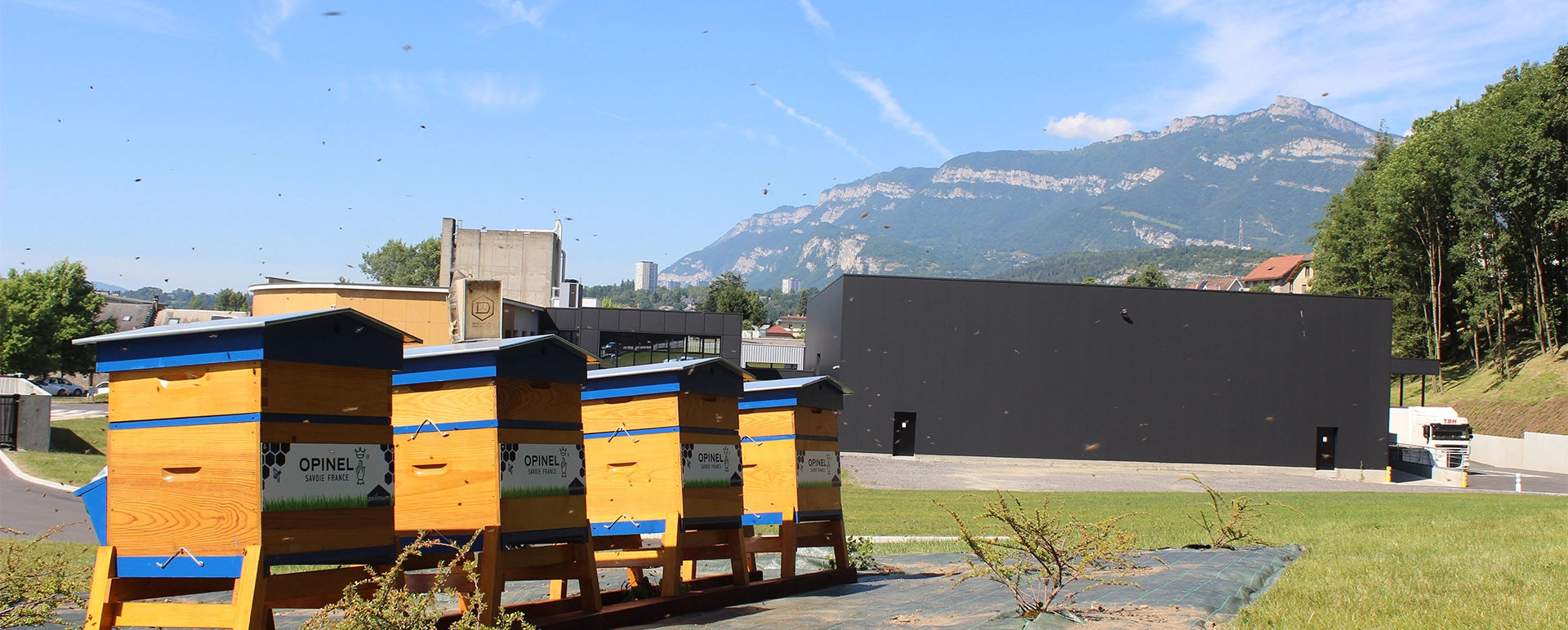 Pollinium: le api e Opinel