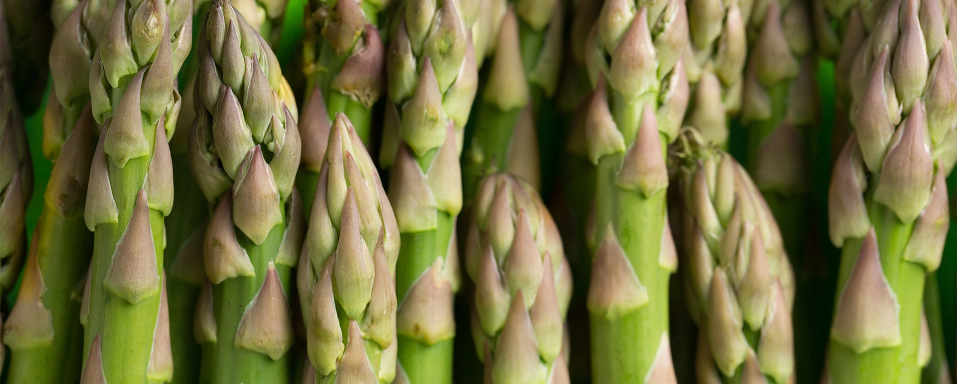Velouté d'asperges fraiches
