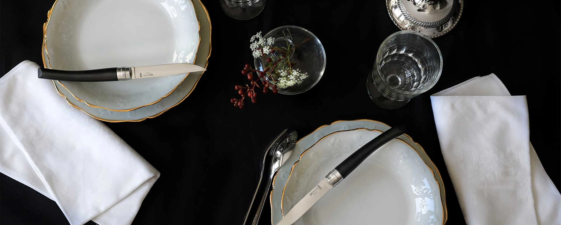 Set di coltelli da tavola