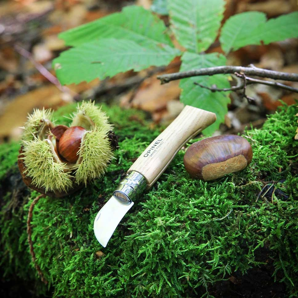 N°07 Chestnuts, garlic and pitting