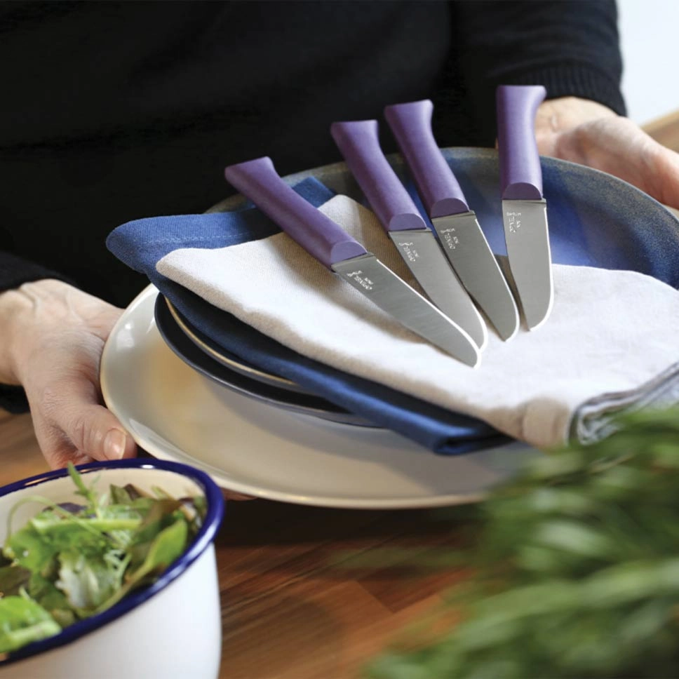 Cuchillo de mesa  Bon Appetit + Violeta