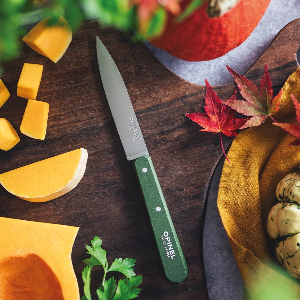 Set of 4 knives Paysage, N°112 colours of the landscape