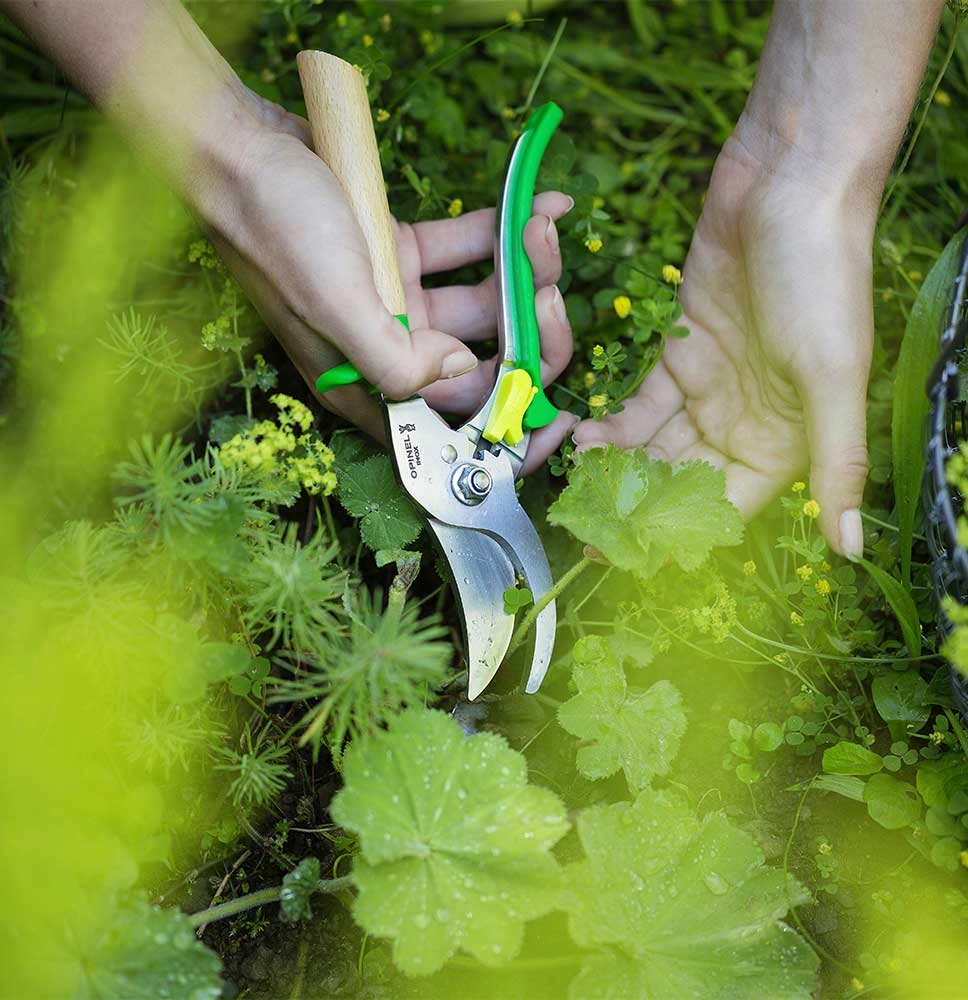 Hand Pruner Meadow