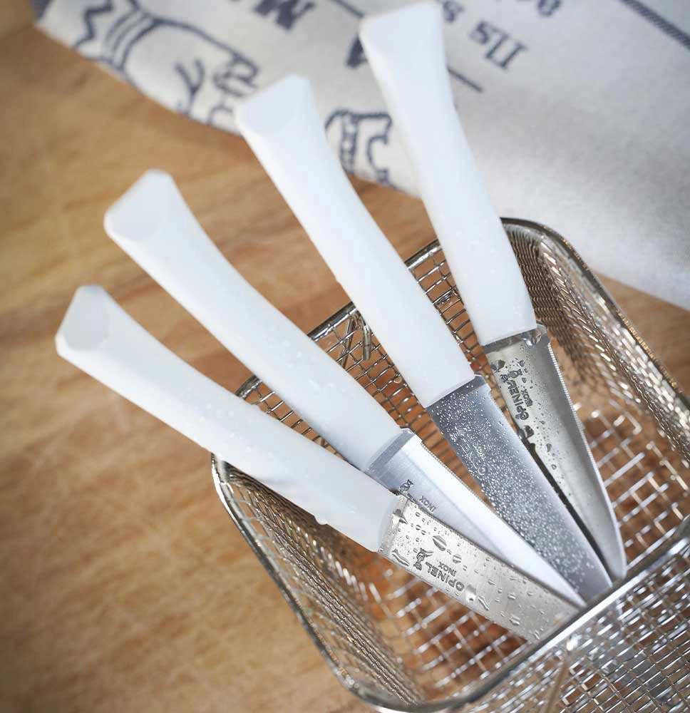 Estuche de 4 cuchillos de mesa Bon Appetit + Nube