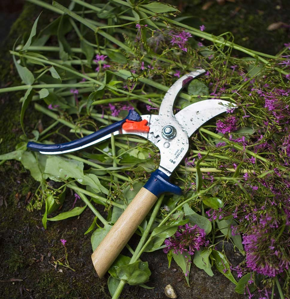 Hand Pruner Slate