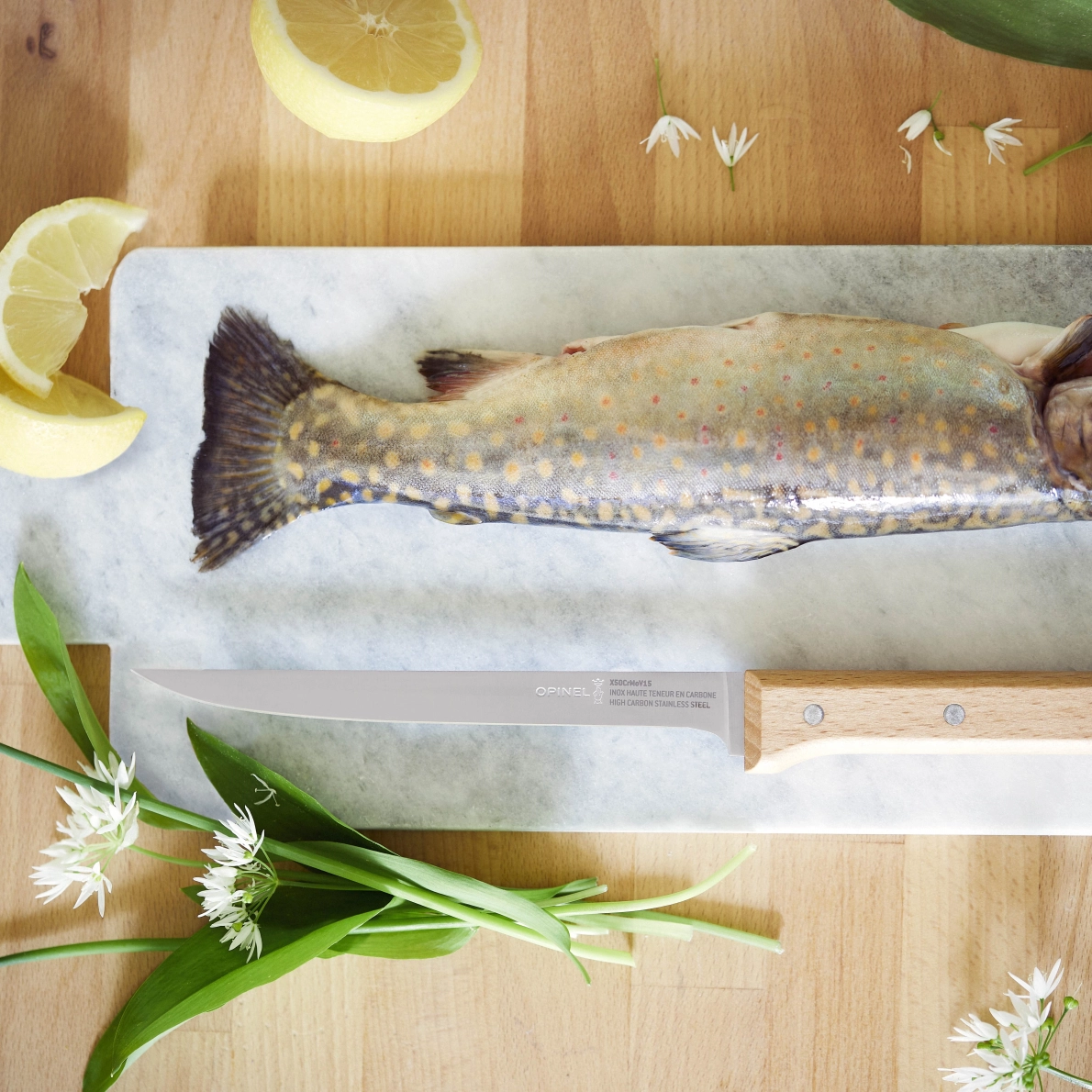 N°121 Fillet Parallèle
