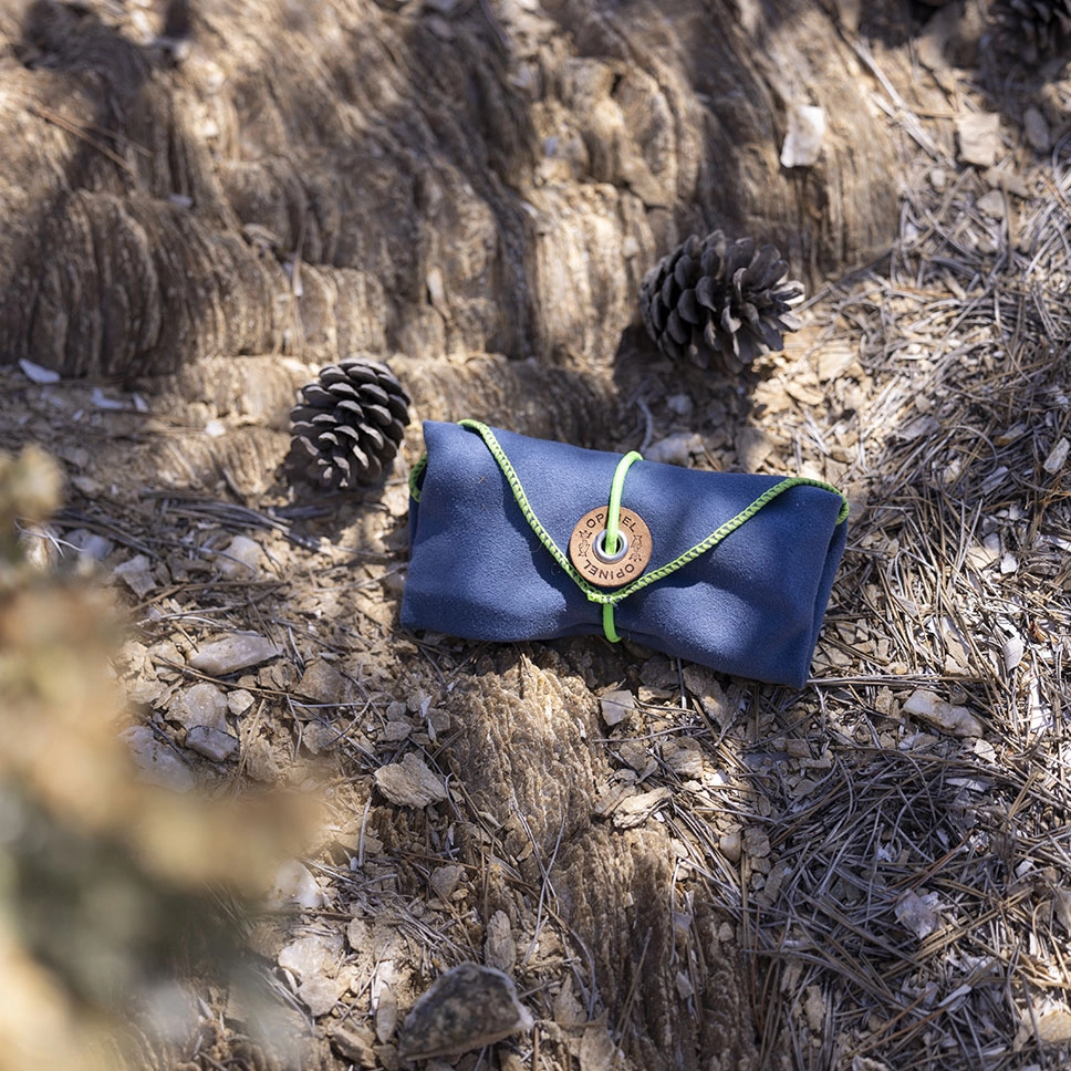 Picnic + Accessories