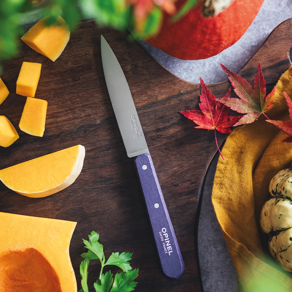 Set of 4 knives Paysage, N°112 colours of the landscape
