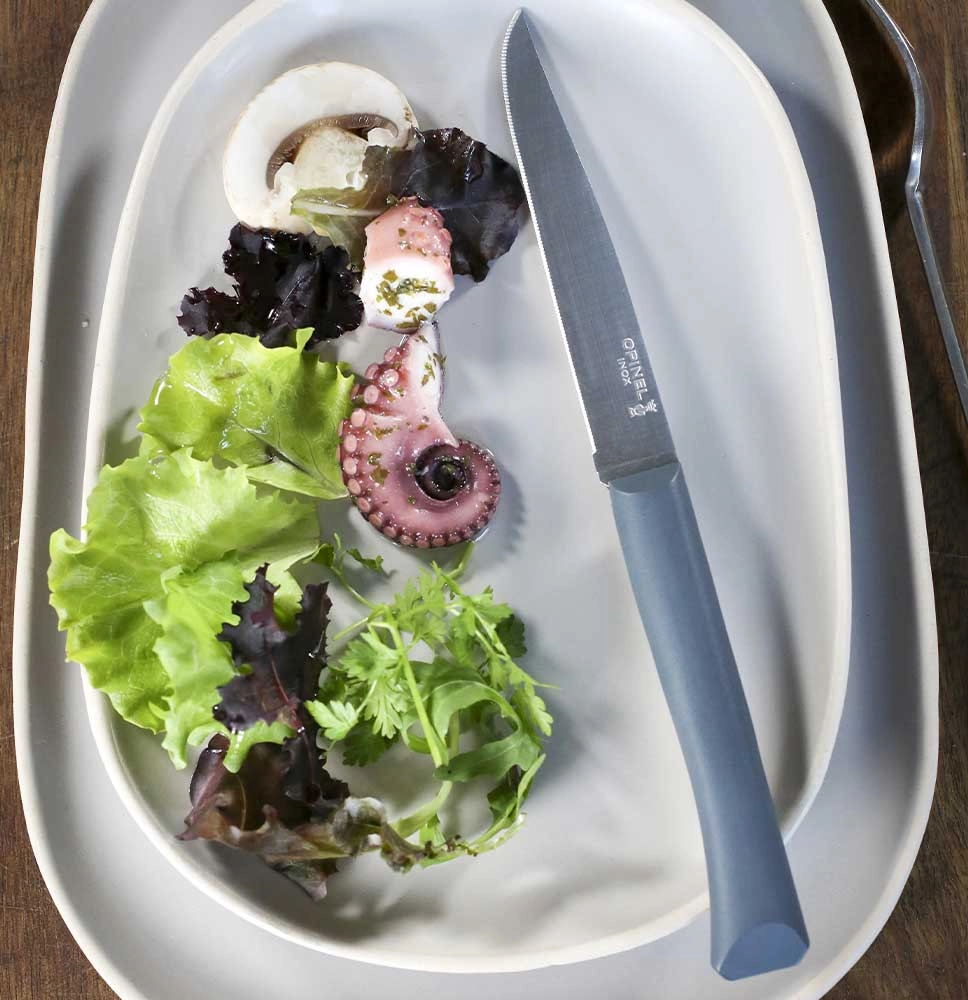 Tafelmesser Bon Appetit + Anthrazit