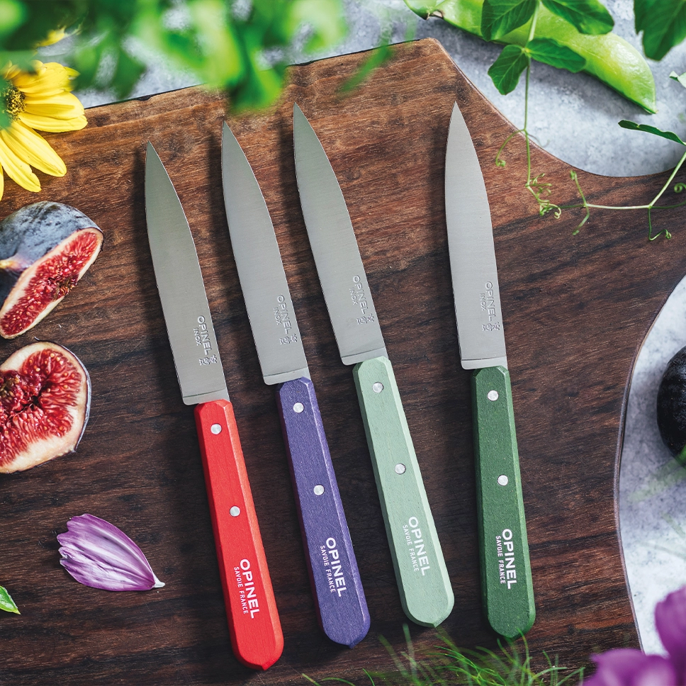 Set of 4 knives Paysage, N°112 colours of the landscape