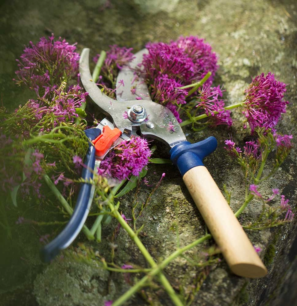Hand Pruner Slate