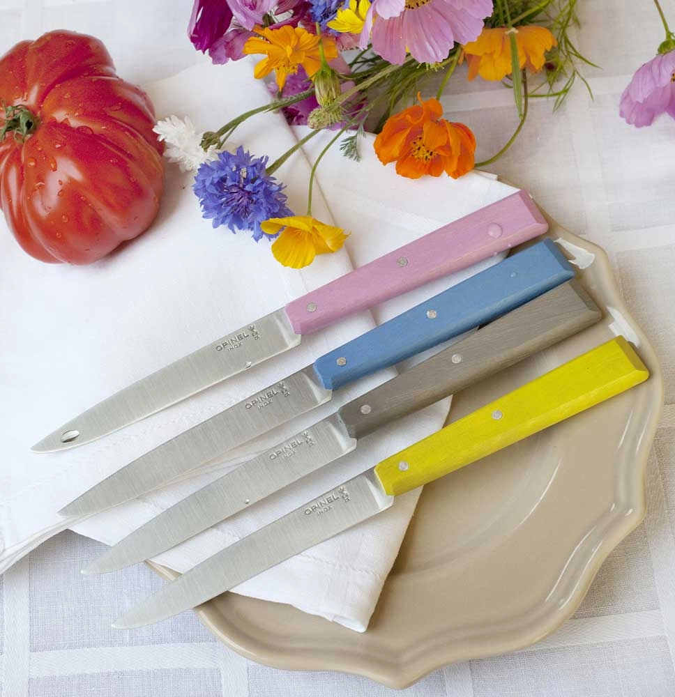 Set of 4 table knives N°125 Bon Appetit Campagne