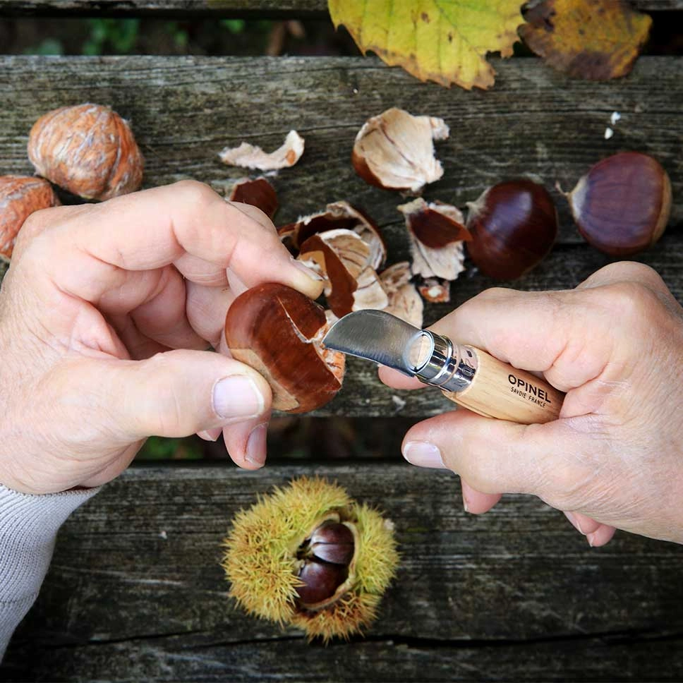 N°07 Chestnuts, garlic and pitting