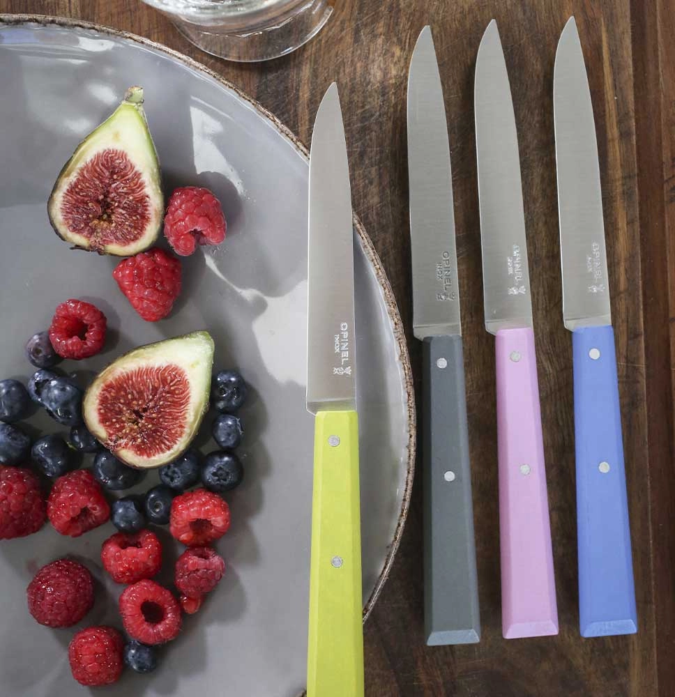 Set of 4 table knives N°125 Bon Appetit Campagne