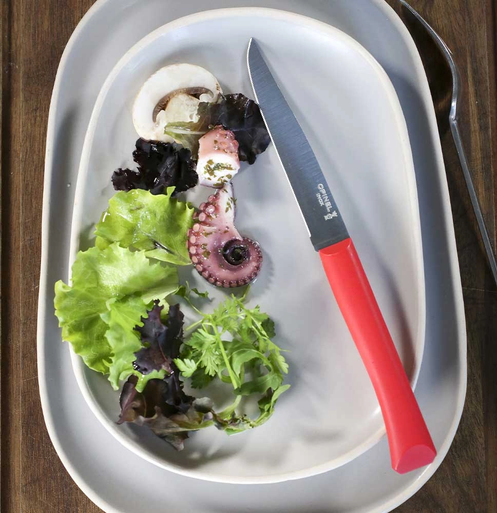 Table knife Bon Appetit + Red