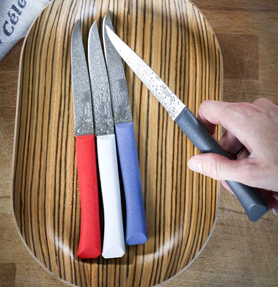 Set of 4 table knives N°125 Bon Appetit + Primo (variegated colours)