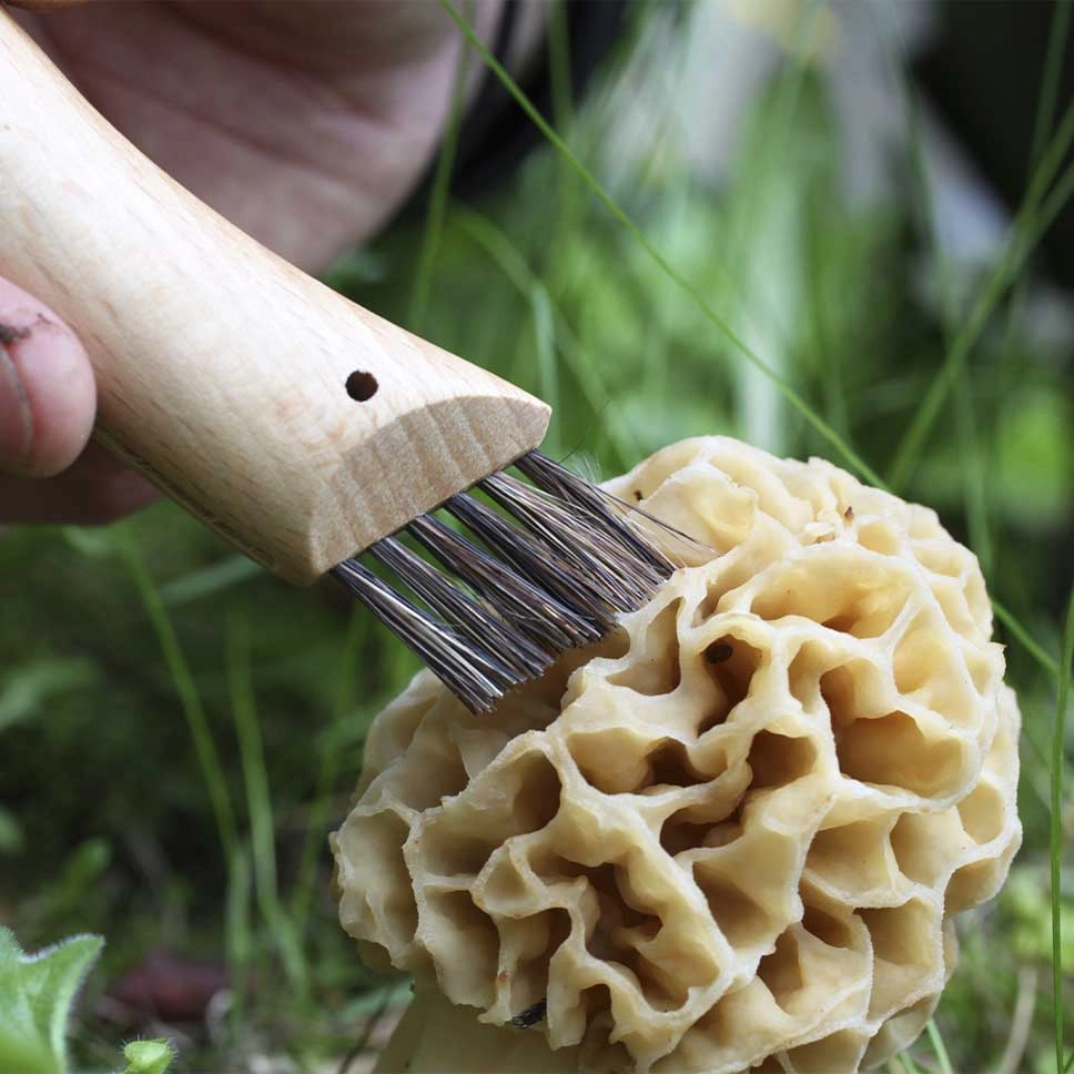 Couteau à champignon N°08
