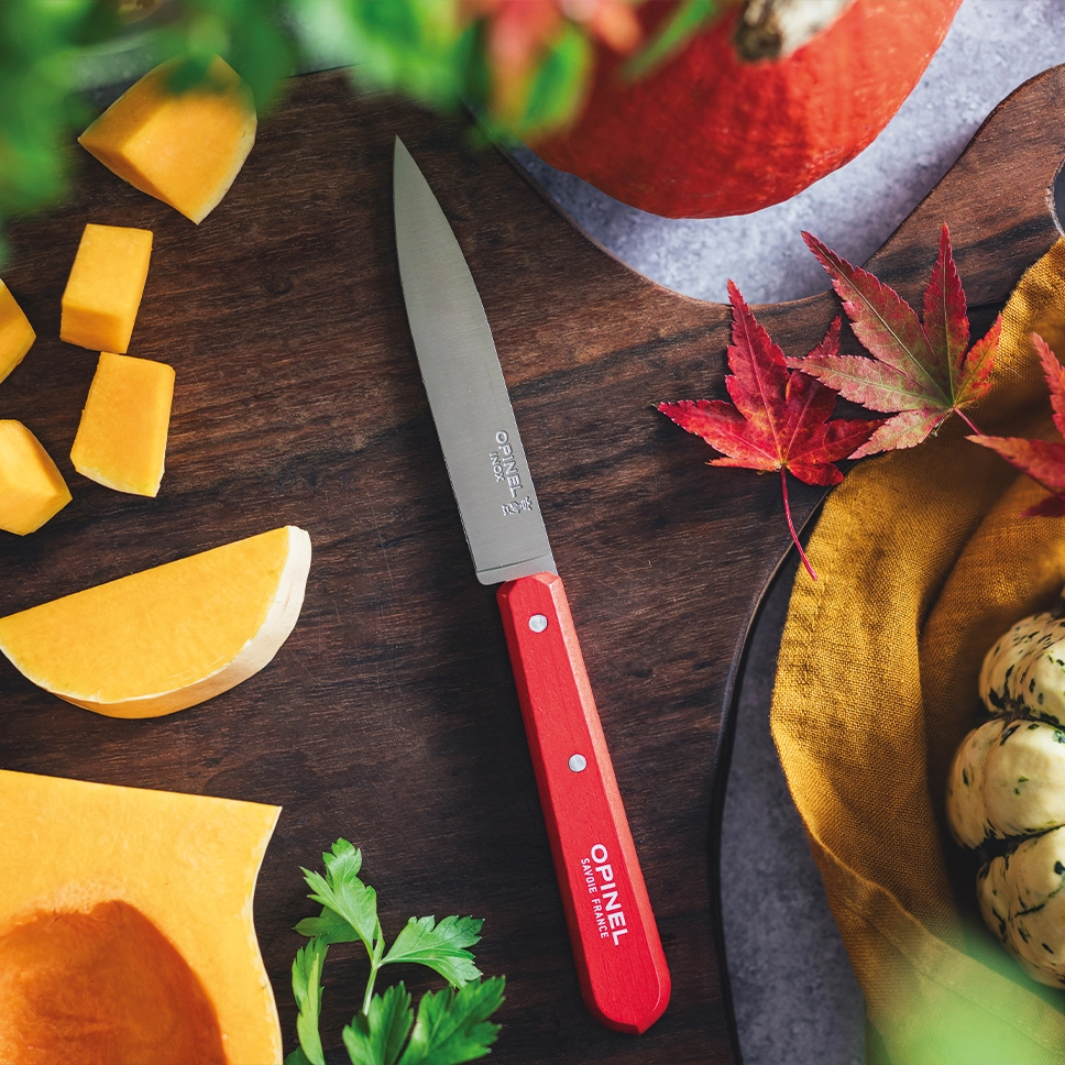 Set of 4 knives Paysage, N°112 colours of the landscape