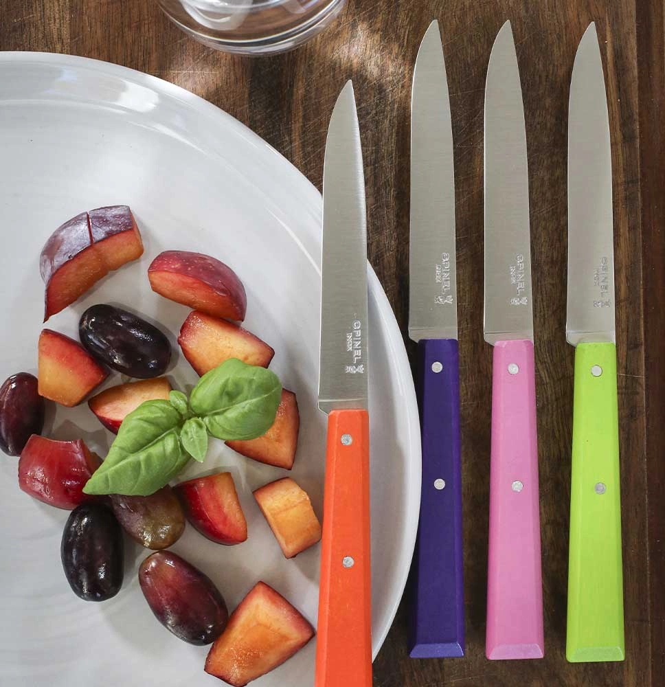 Estuche de 4 cuchillos de mesa N.º 125 Bon Appétit Pop