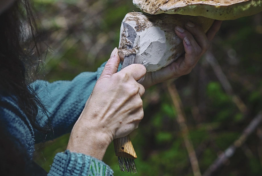 Couteau à champignon haut de gamme N°08