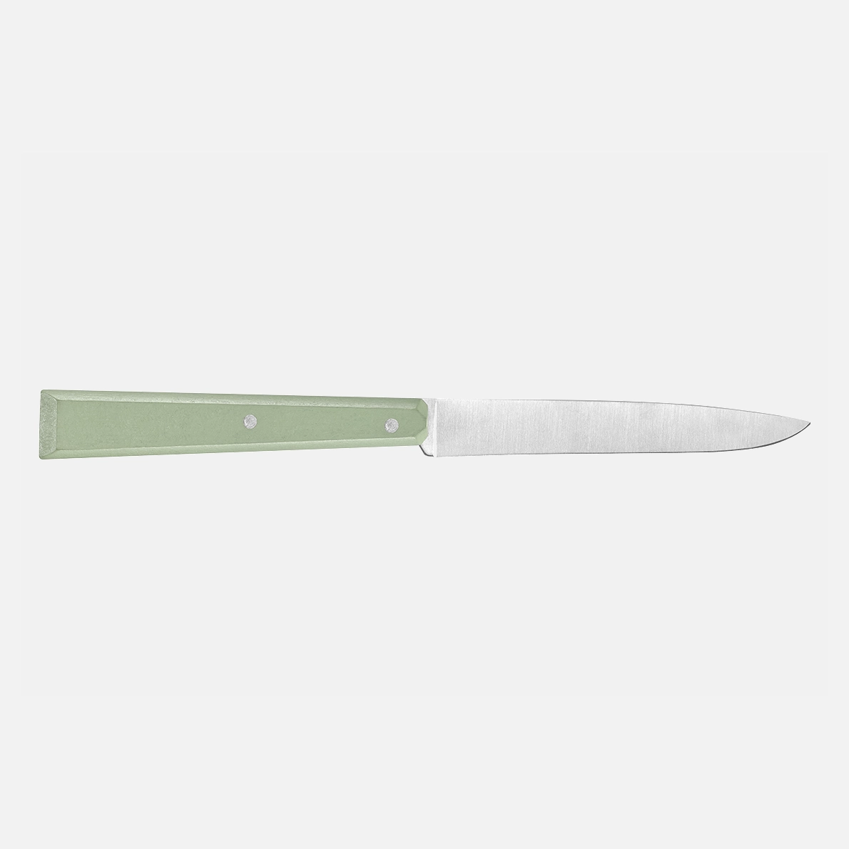 Coffret de 4 couteaux de table N°125 Bon Appétit Sauge