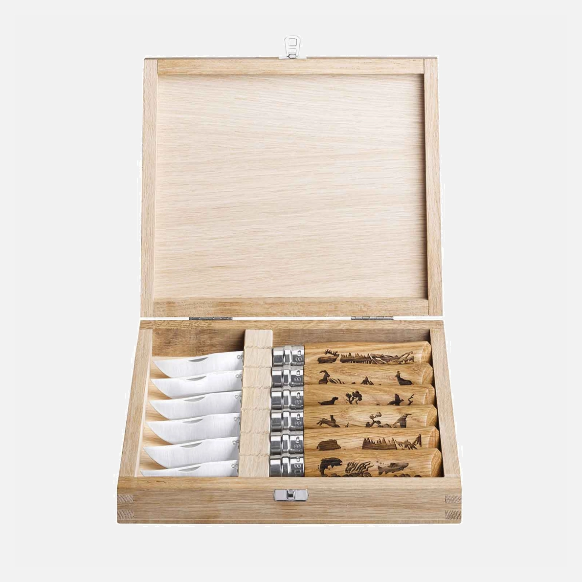 Collection Animalia