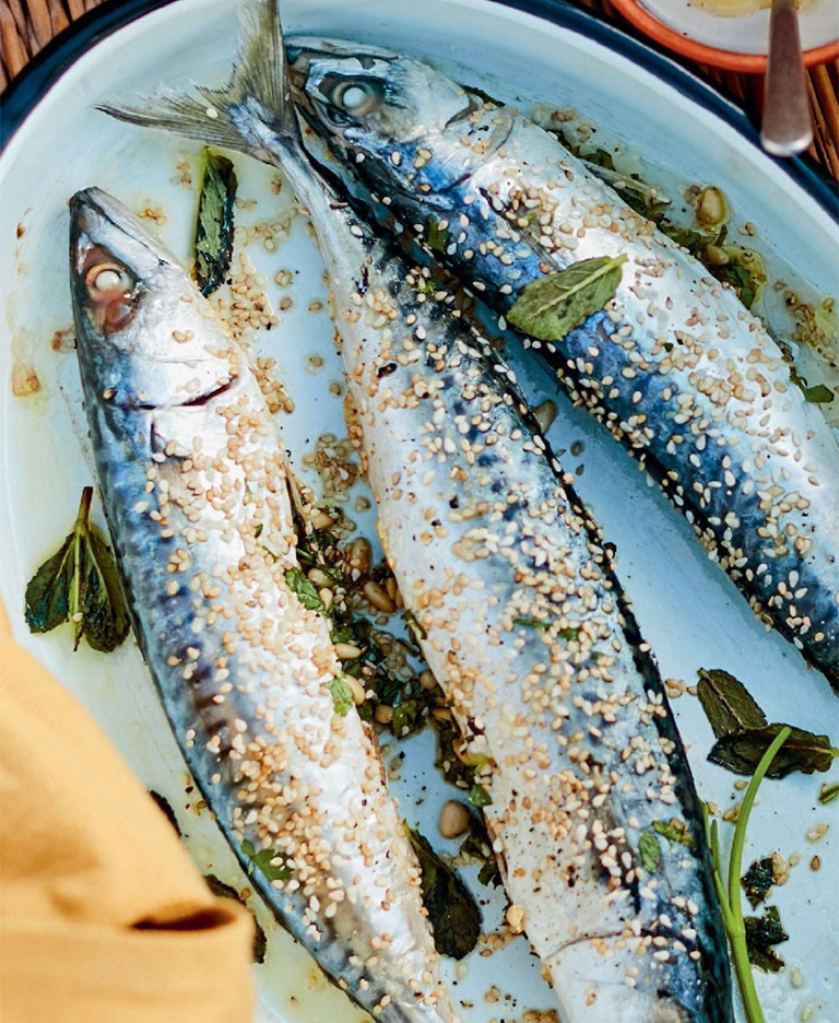 Makrelen in Tahinisauce