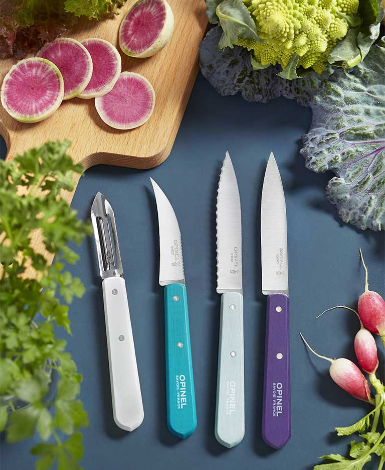 I coltelli essenziali in cucina