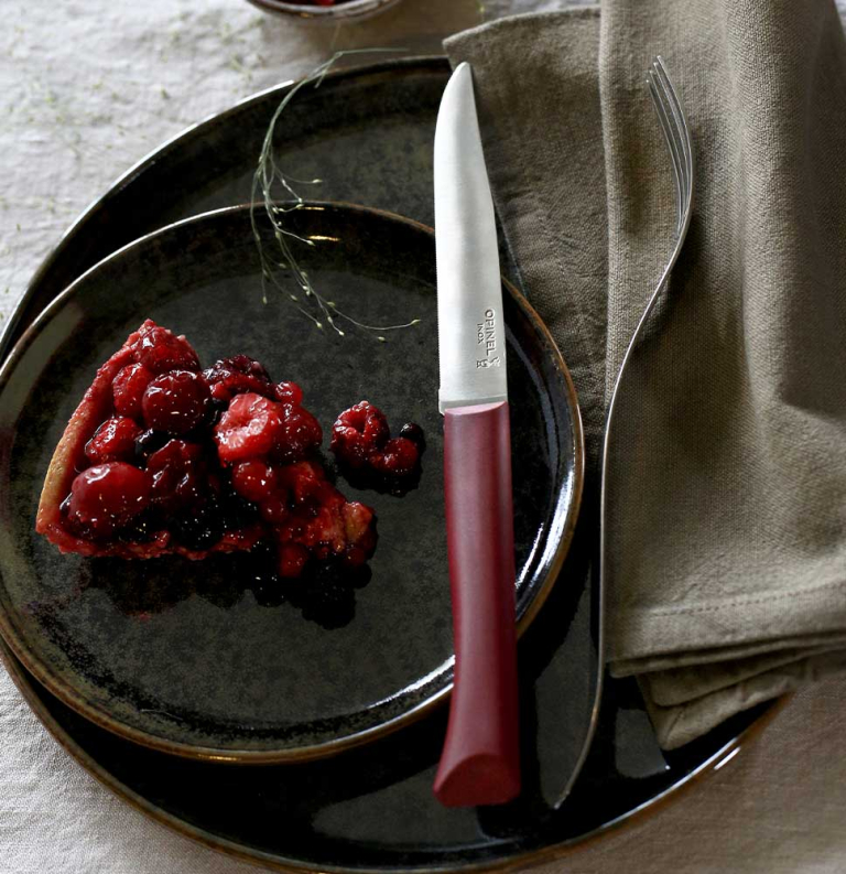 Couteau de table Bon Appetit + Grenat