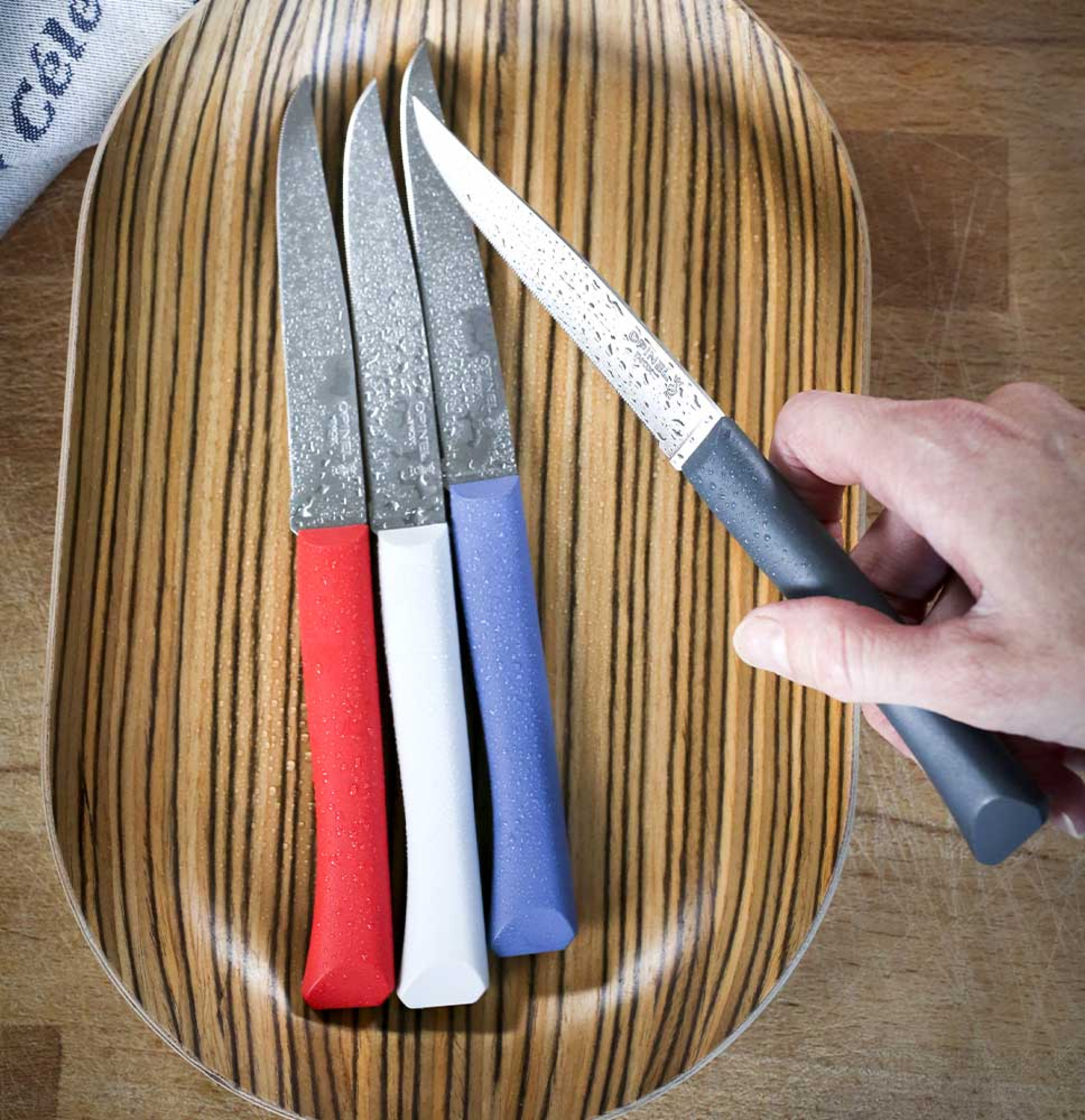 Boîte de 4 couteaux de table coloris multicolore en plastique et inox  Opinel - 257 x 54 x 15 cm : Coutellerie outdoor OPINEL jardin - botanic®