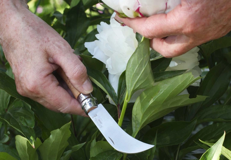 Harvesting