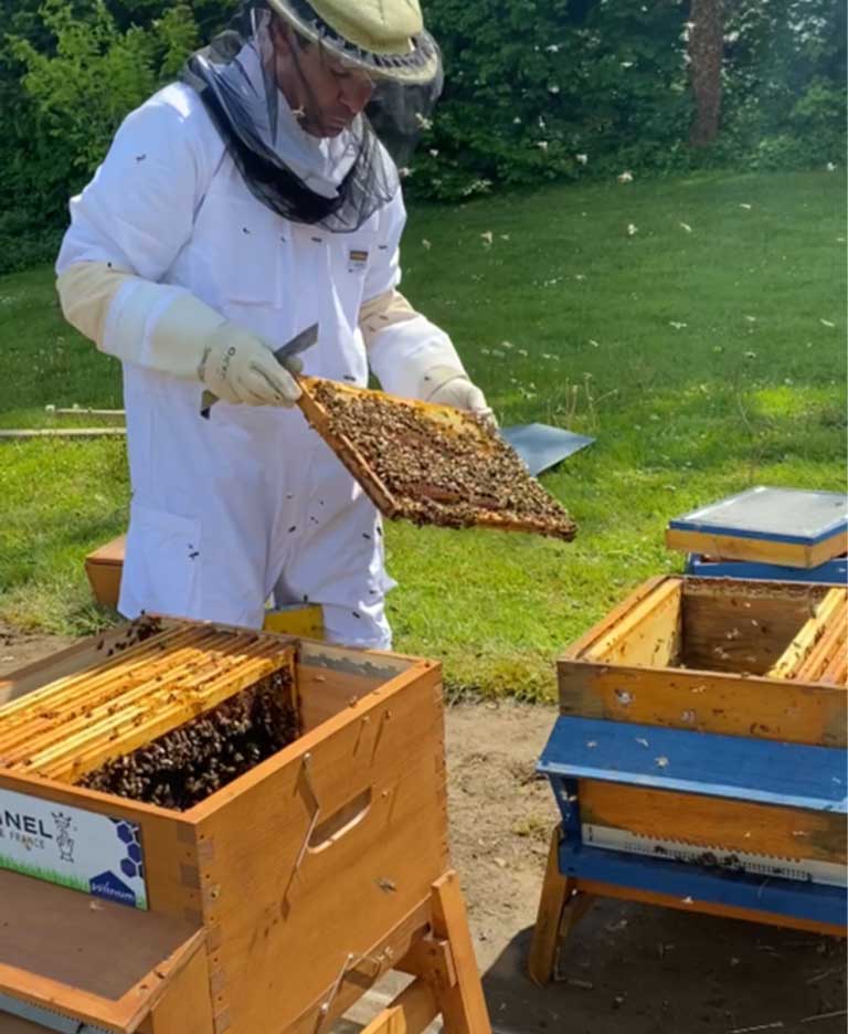 Rencontre avec l'apiculteur des abeilles d'Opinel
